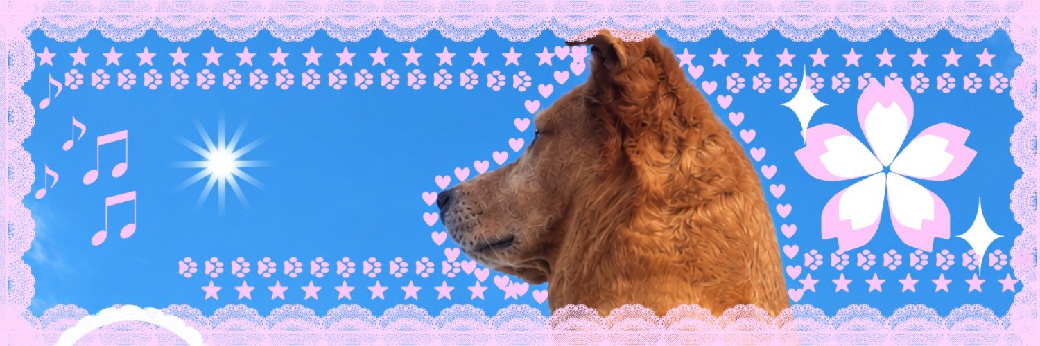 xcxdasilva's profile banner image