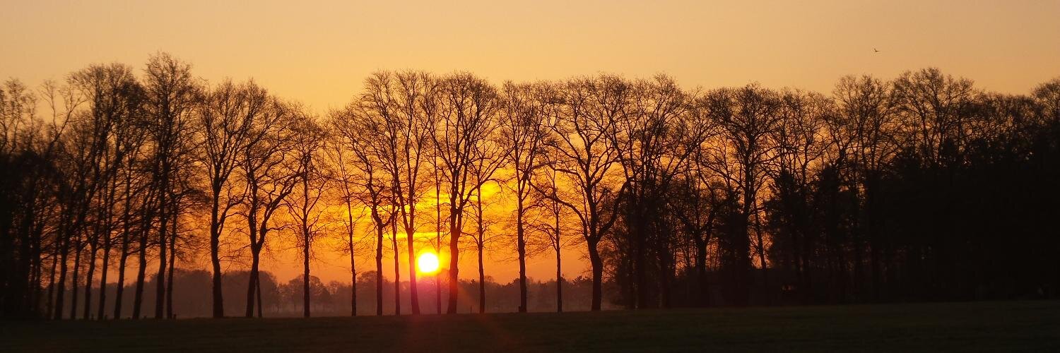 HansterHeijne 🇳🇱 banner