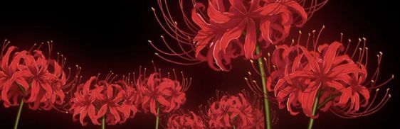 059_mansoor's profile banner image
