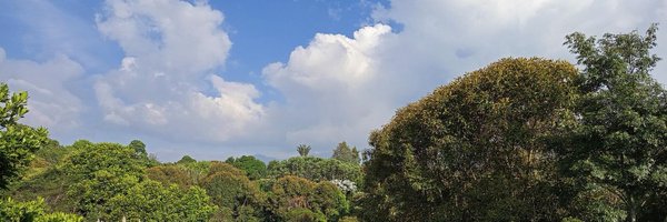 PerlaArrietaRam Profile Banner