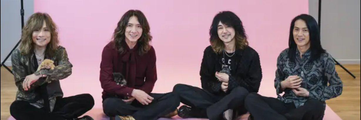 🐈‍⬛🌙ネコたん banner