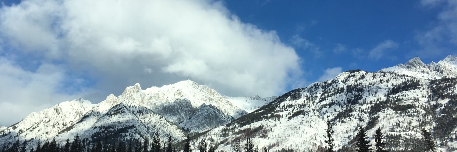 thetanash's profile banner image