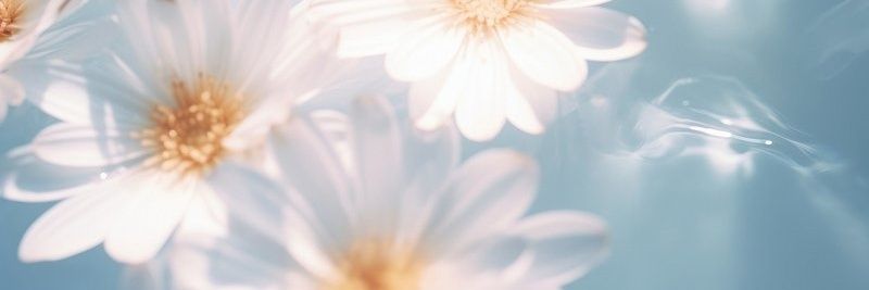 aisha banner