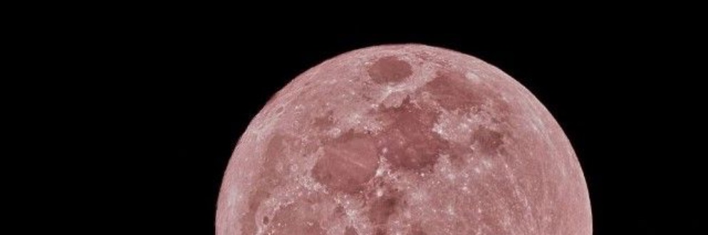 soshi_s2_1127's profile banner image