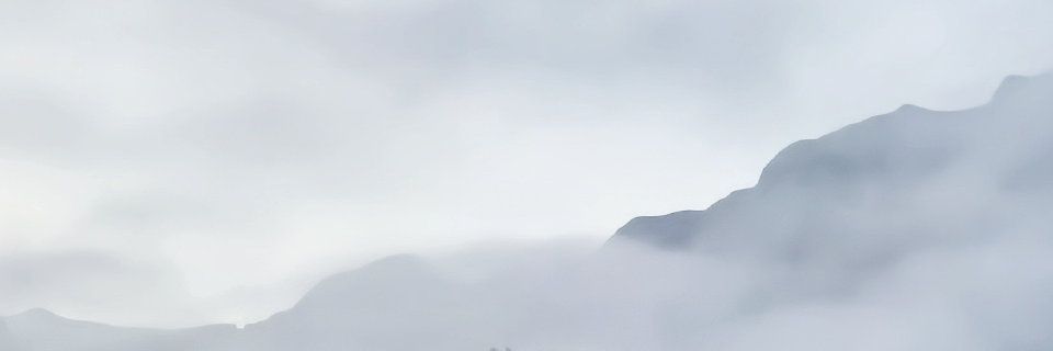 Ting banner