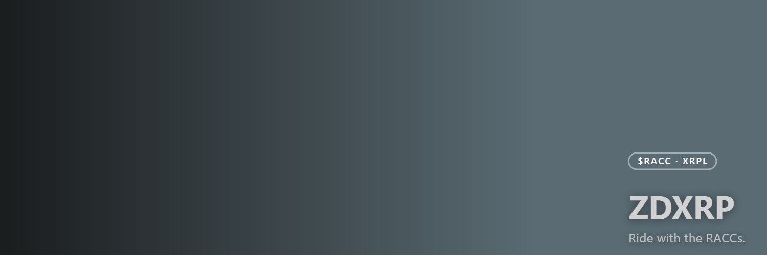 ZentraDigital banner