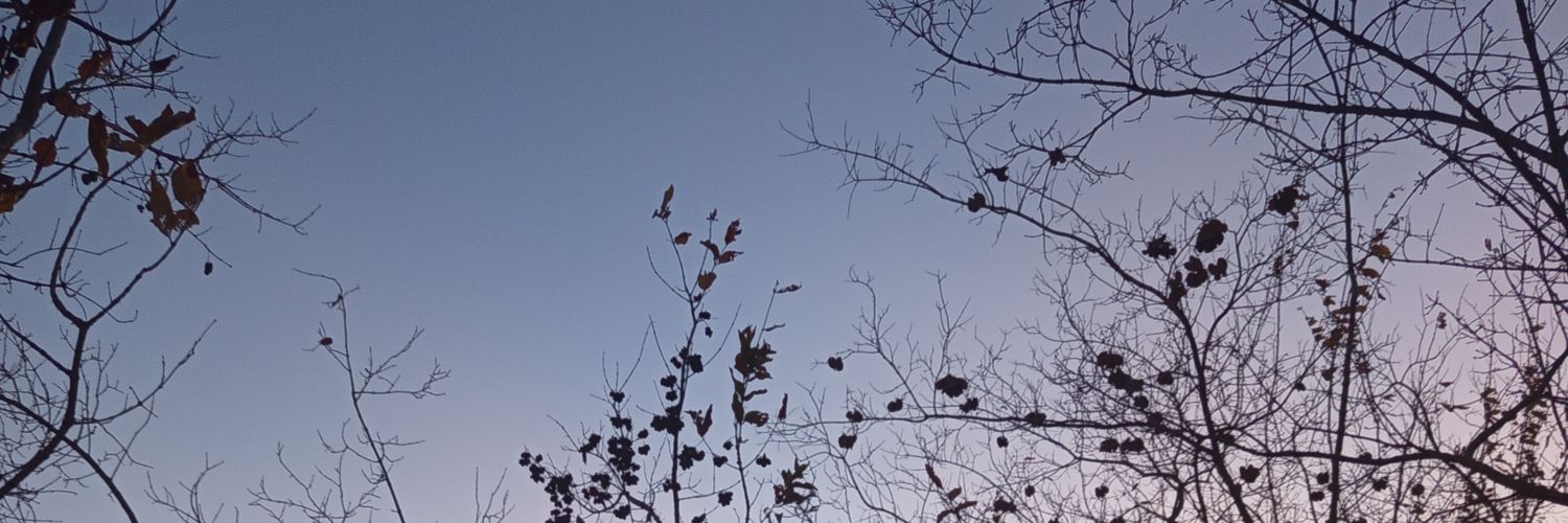 Wanjamwangangi's profile banner image