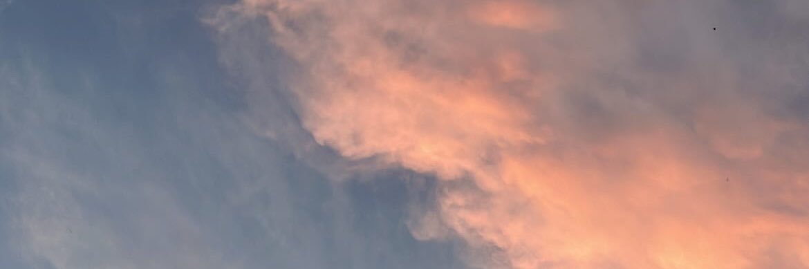 NaierAlves's profile banner image