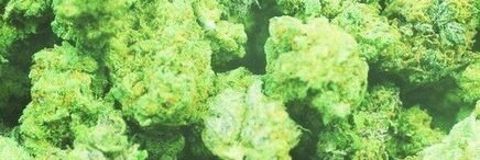 _tobipizda's profile banner image