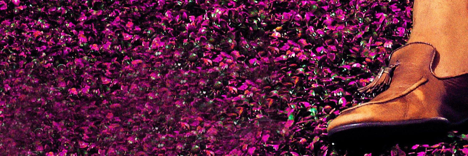 Simoni Exclusive banner