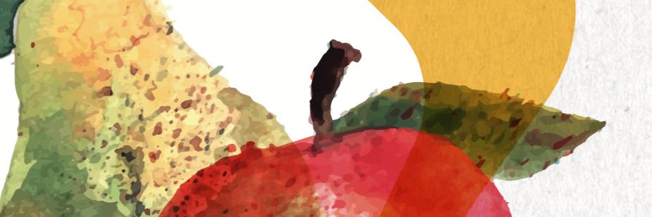 AEAMDE-Actividad banner