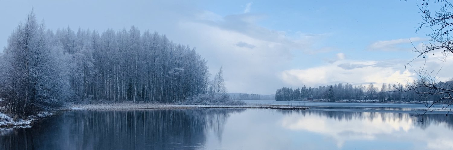 RauhaniemiK's profile banner image