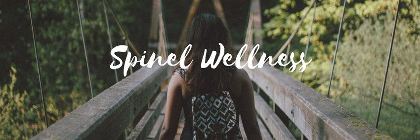 Spinelwellness's profile banner image