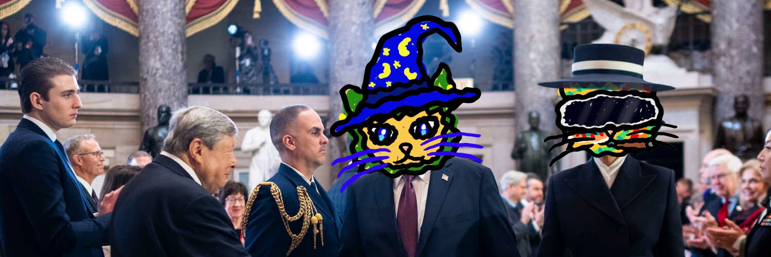 Magic Cats banner