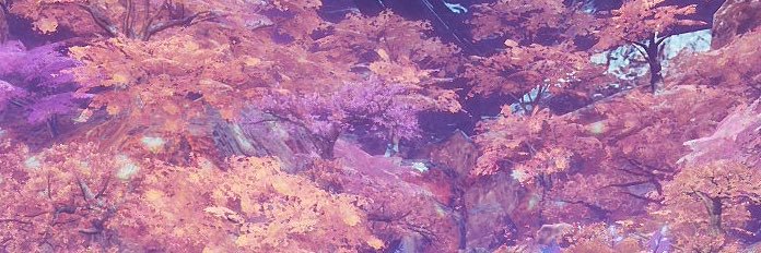 なしょーん banner