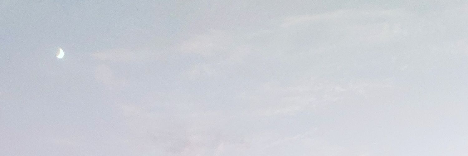 Saffron0123's profile banner image