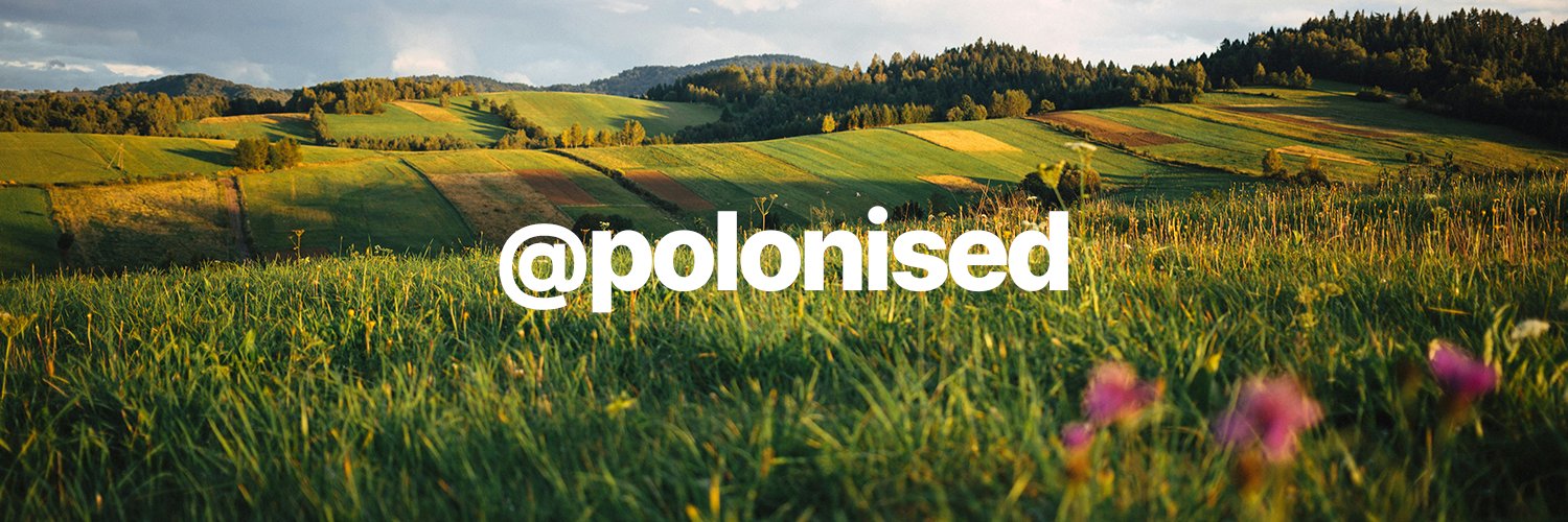 polonised's profile banner image