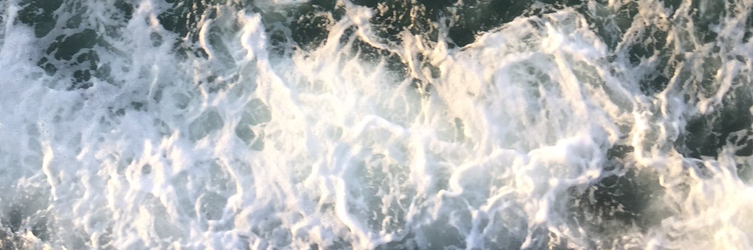 linceeek's profile banner image