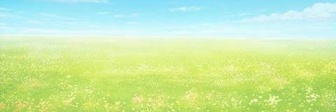おんニャンコ's banner