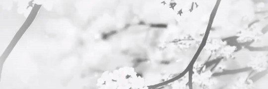 may1ast's profile banner image
