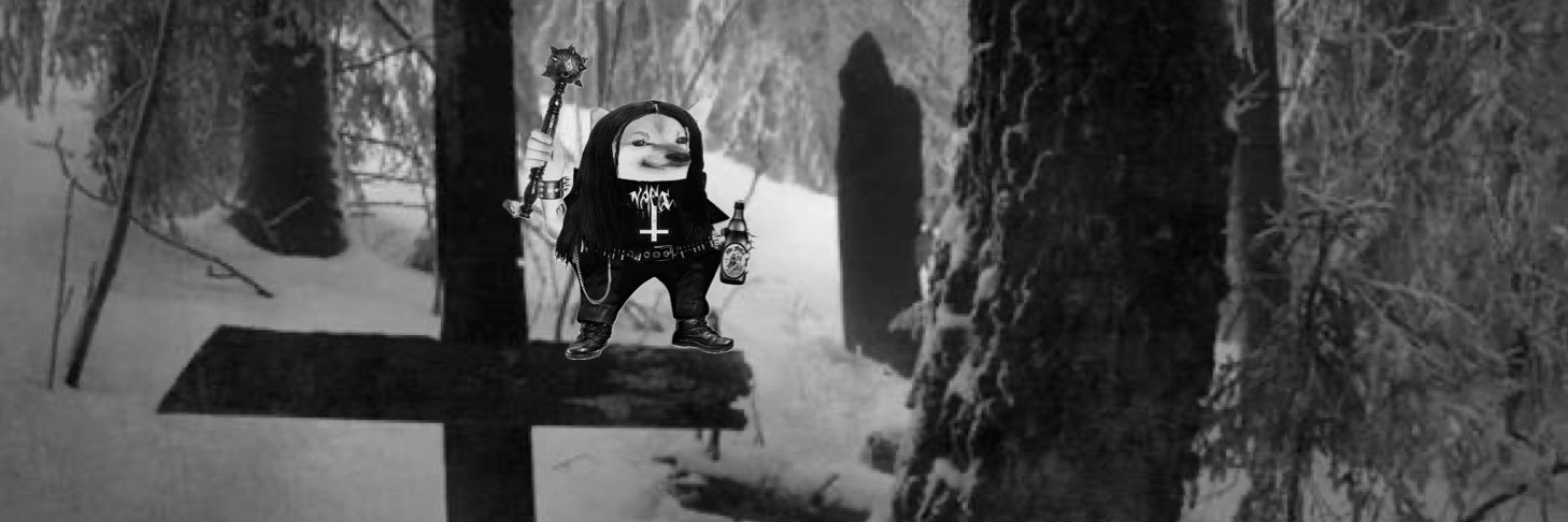 FIN_Metal 🇫🇮🇺🇦🏴‍☠️'s banner