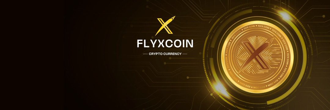 FlyXCoinInu's profile banner image