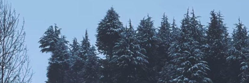 Marcus Aurelius banner