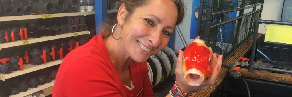 SusanRastin's profile banner image