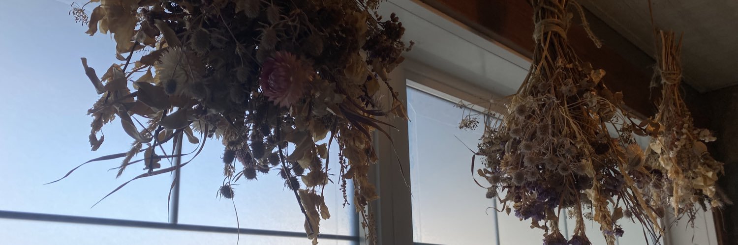 _haylsrosee's profile banner image