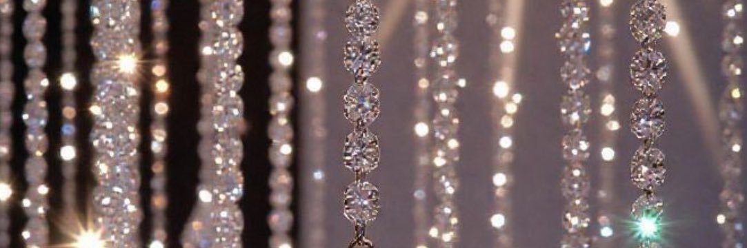 ✨the SPARKLY 🐆 one ✨ banner