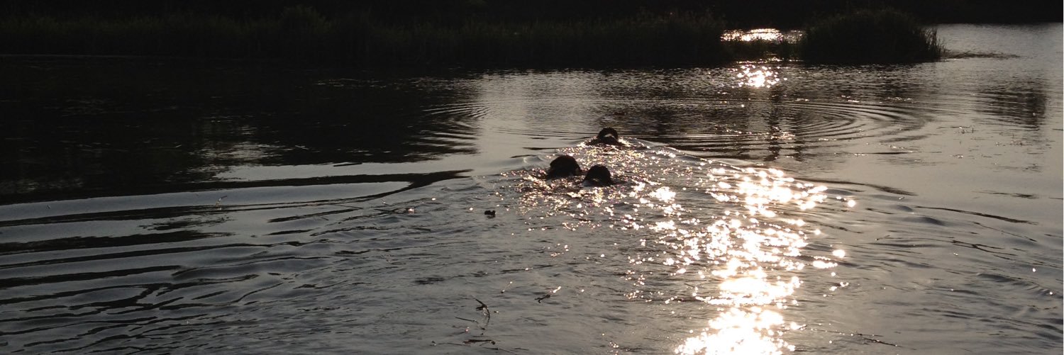 Ciarán Gallagher banner
