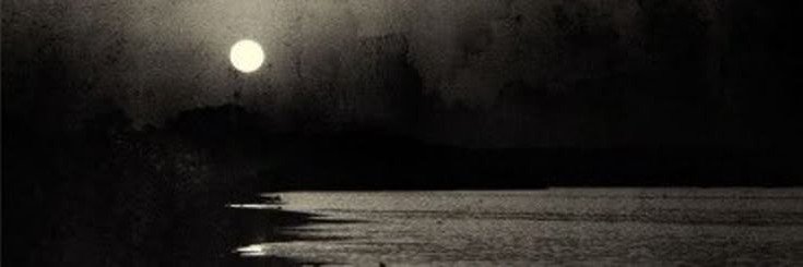 dinnyuxi's profile banner image