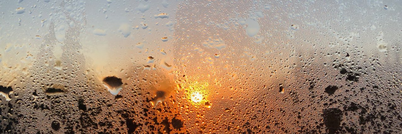 Jamie Edwards banner