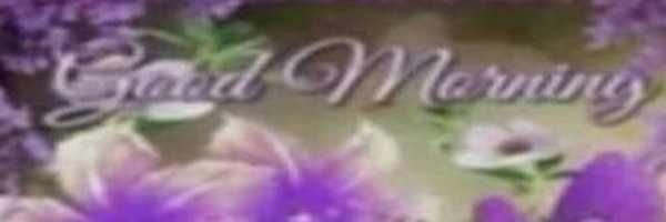 Noot_Loot Profile Banner