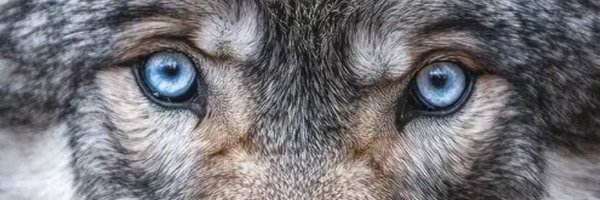 _Technician2 Profile Banner