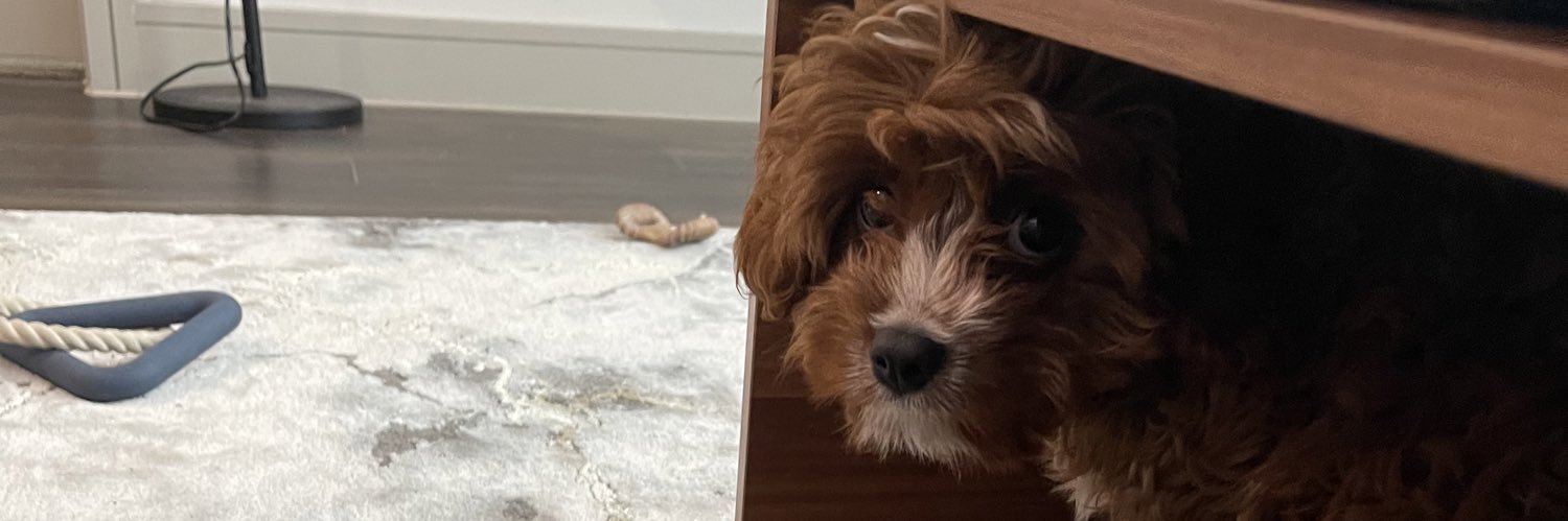 darrmie's profile banner image