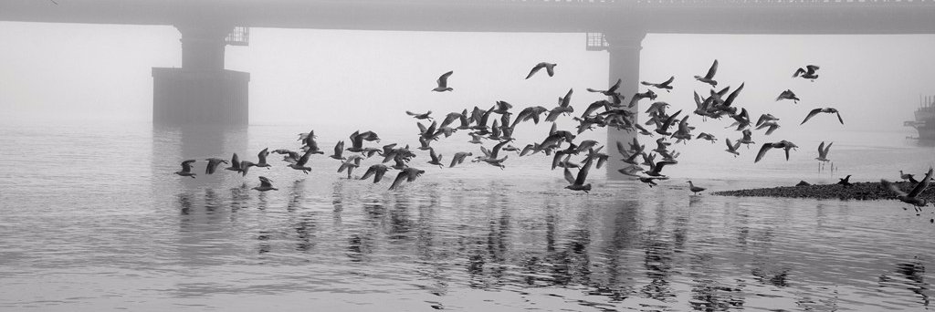 Warren Putney Sales and Lettings banner