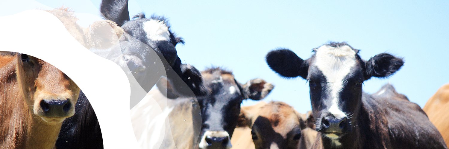 RedCapEnergy's profile banner image