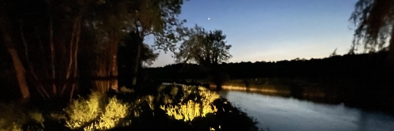 fishagogo's profile banner image
