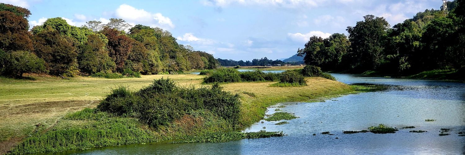 dipannita jaiswal banner