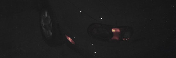 Skrillex Profile Banner