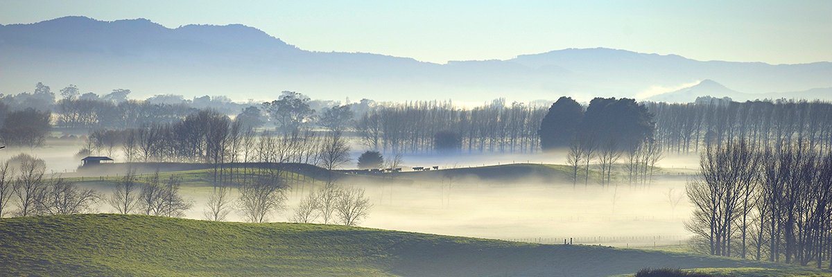 Kiwiphotog's profile banner image
