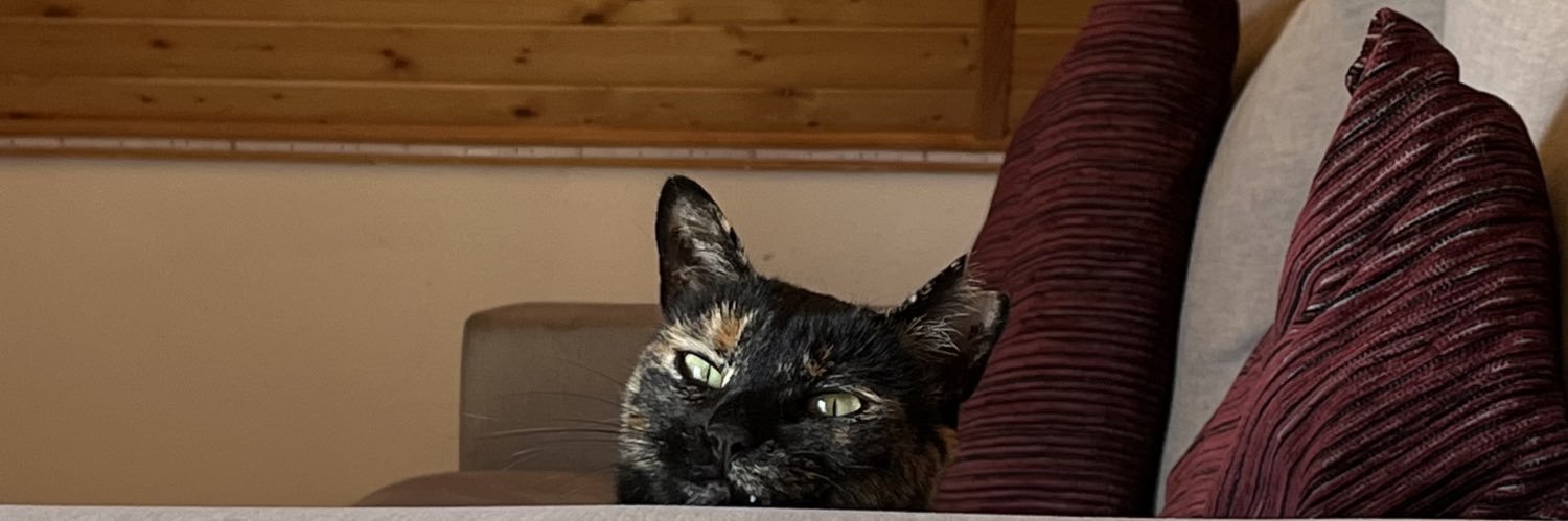 pauregui's profile banner image