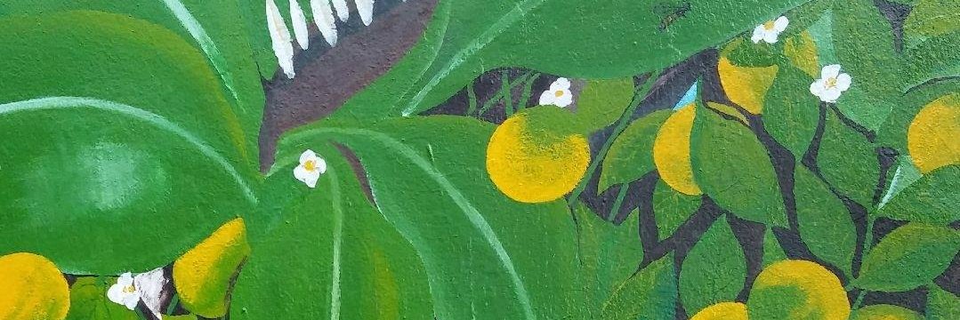 Deepa Ranganathan banner