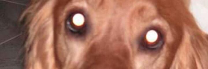 Radsitio's profile banner image