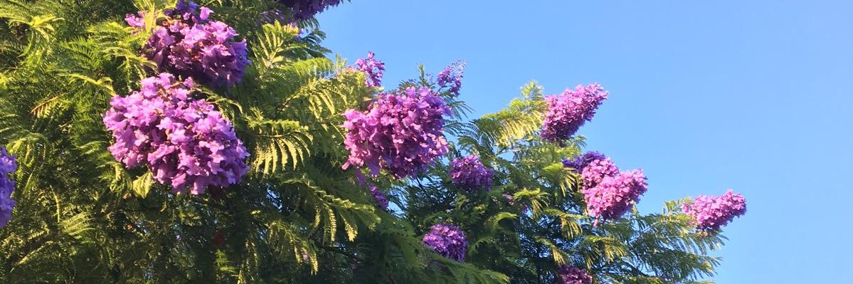 Germán Garberí Juan banner