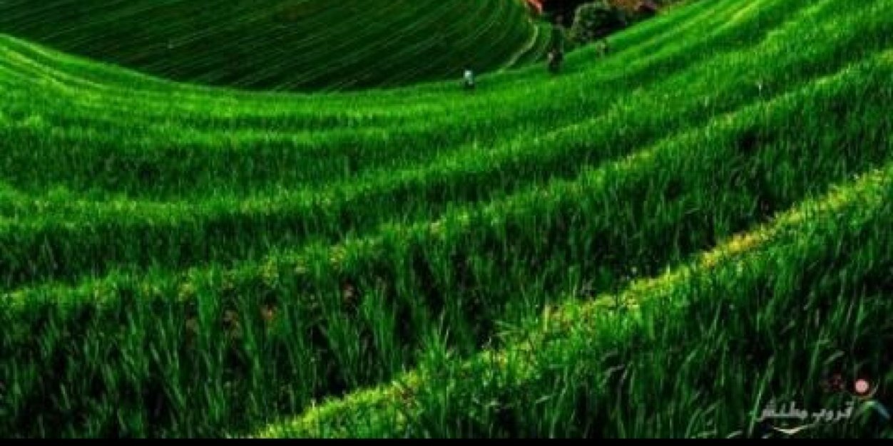 joorey58's profile banner image