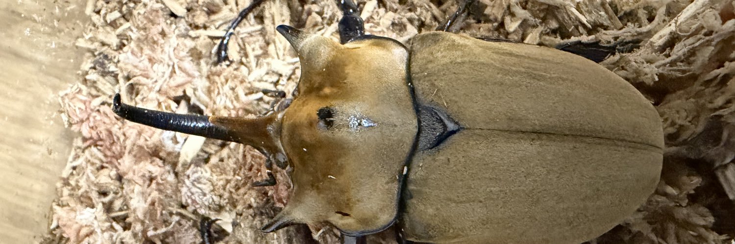 ミルキーメガソマカムパニー banner