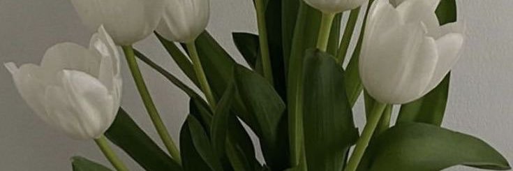msgangjoe__'s profile banner image