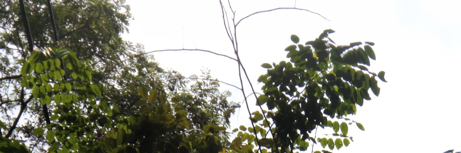 Mr.Cuckold life banner